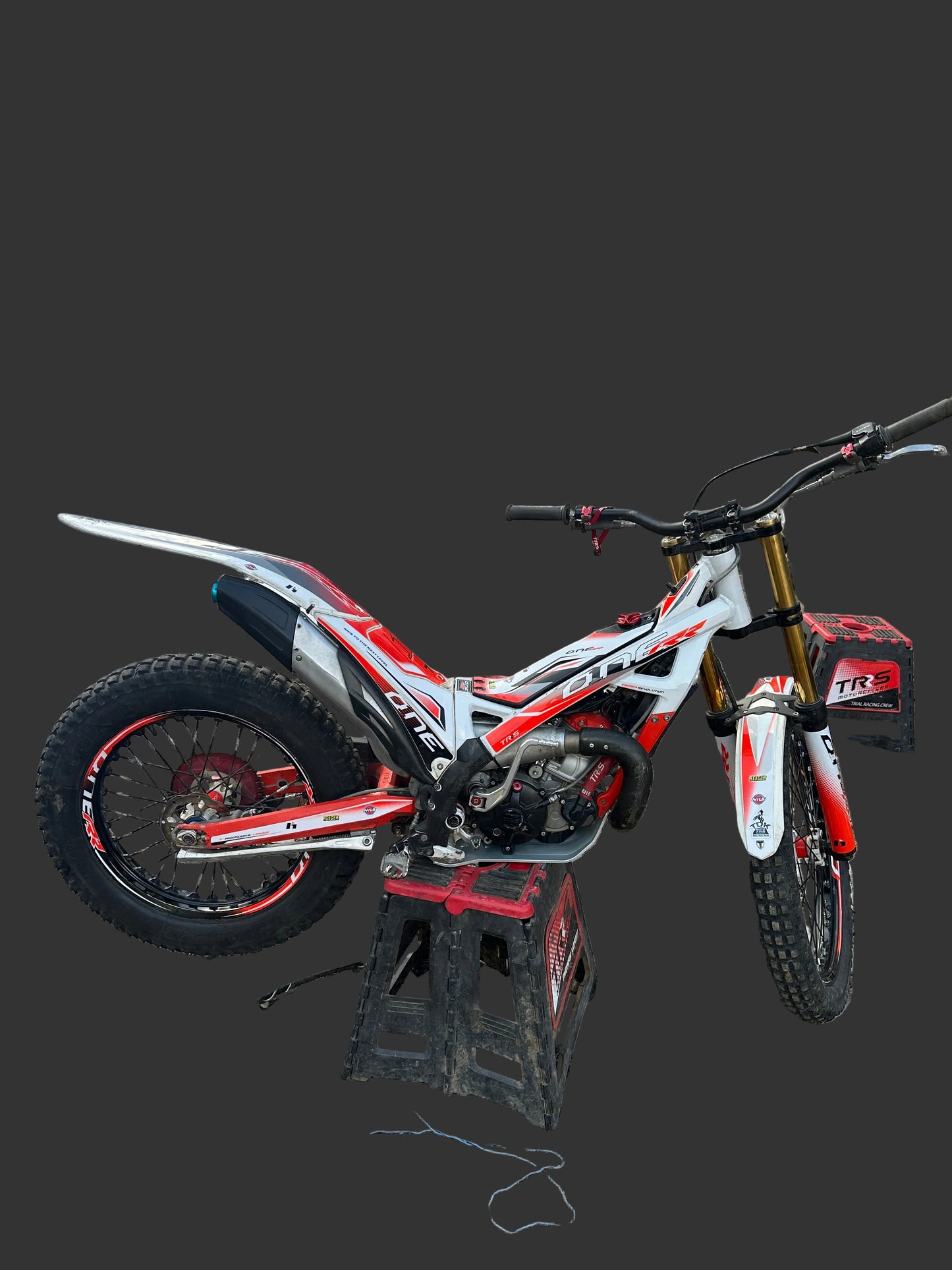 2024 TRS ONE RR 300cc